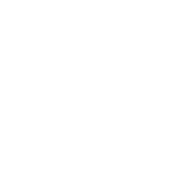 Gnosis Tether (GNOUSDT)