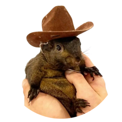 Peanut the Squirrel Tether (PNUTUSDT)
