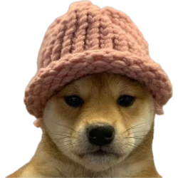 dogwifhat Tether (WIFUSDT)