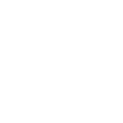 The Boeing Company (BA)