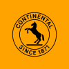 Continental AG (CON.DE)