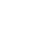 Palantir Technologies Inc. (PLTR)