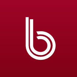 BAYRAK EBT TABAN SANAYİ VE TİCARET A.Ş. (BAYRK)