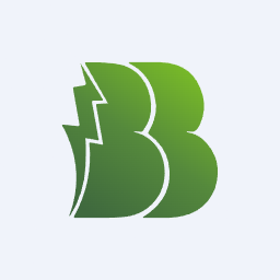 BEST BRANDS GRUP ENERJİ YATIRIM A.Ş. (BESTE)