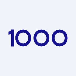 1000 YATIRIMLAR HOLDİNG A.Ş. (BINHO)