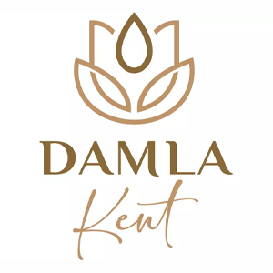 EMLAK KONUT DAMLA KENT GMS (DMLKTG)