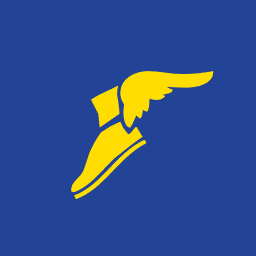 GOODYEAR LASTİKLERİ T.A.Ş. (GOODY)